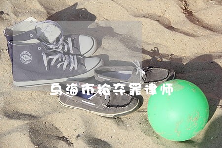 乌海市抢夺罪律师