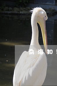 乌海知识产权律师收费价目表 乌海知识产权律师收费价目表