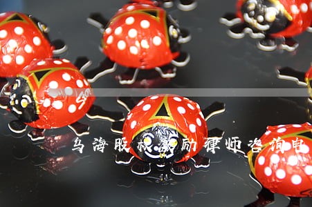 乌海股权激励律师咨询电话 乌海股权激励律师咨询电话