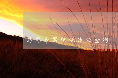 乌苏市驾驶证违法查询 乌苏市驾驶证违法查询