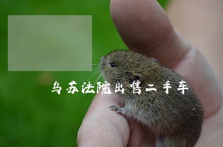 乌苏法院出售二手车 乌苏法院出售二手车