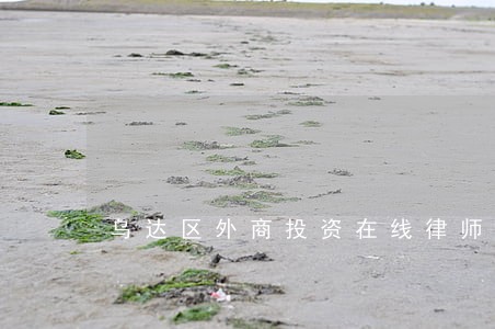 乌达区外商投资在线律师 乌达区外商投资在线律师