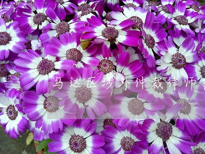 乌达区涉外仲裁律师在线免费咨询 乌达区涉外仲裁律师在线免费咨询