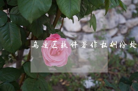 乌达区软件著作权纠纷处理律师 乌达区软件著作权纠纷处理律师