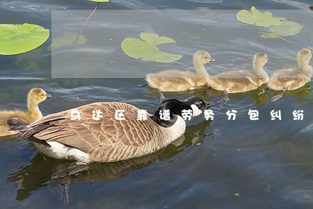 乌达区靠谱劳务分包纠纷律师 乌达区靠谱劳务分包纠纷律师