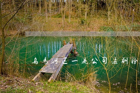 乌马河区一流公司法纠纷律师 乌马河区一流公司法纠纷律师