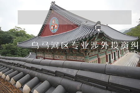 乌马河区专业涉外投资纠纷律师 乌马河区专业涉外投资纠纷律师