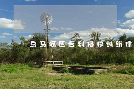 乌马河区专利侵权纠纷律师 乌马河区专利侵权纠纷律师