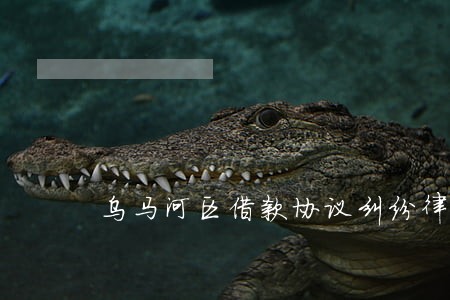 乌马河区借款协议纠纷律师 乌马河区借款协议纠纷律师