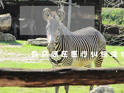 乌马河区医疗纠纷法律律师