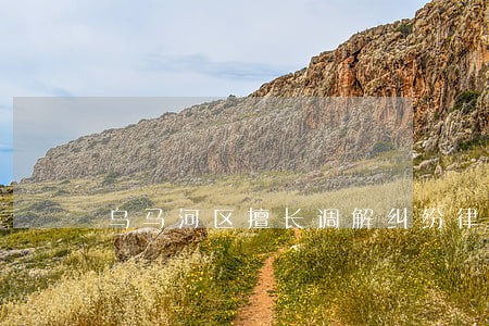 乌马河区擅长调解纠纷律师 乌马河区擅长调解纠纷律师