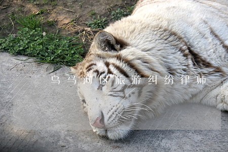 乌马河区旅游纠纷律师 乌马河区旅游纠纷律师
