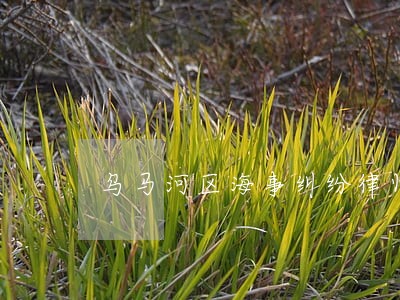 乌马河区海事纠纷律师 乌马河区海事纠纷律师