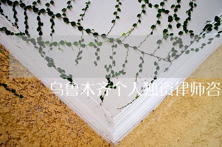 乌鲁木齐个人独资律师咨询电话 乌鲁木齐个人独资律师咨询电话