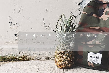 乌鲁木齐交通违法预约