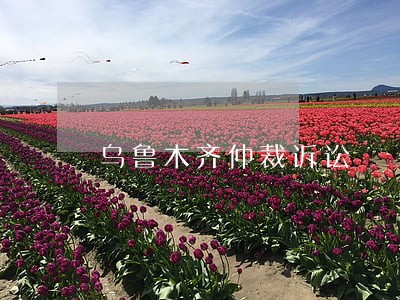 乌鲁木齐仲裁诉讼 乌鲁木齐仲裁诉讼