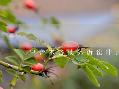 乌鲁木齐债务诉讼律师