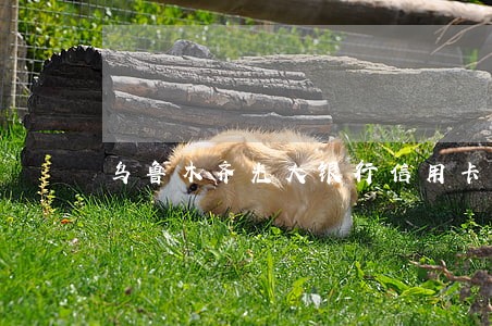 乌鲁木齐光大银行信用卡逾期