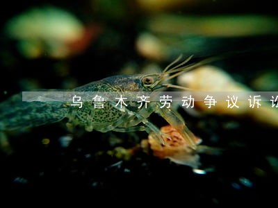 乌鲁木齐劳动争议诉讼律师 乌鲁木齐劳动争议诉讼律师