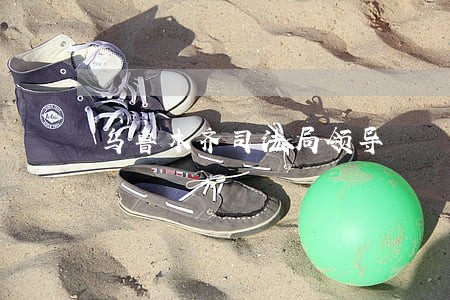 乌鲁木齐司法局领导 乌鲁木齐司法局领导