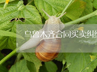 乌鲁木齐合同买卖纠纷律师 乌鲁木齐合同买卖纠纷律师