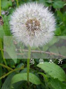 乌鲁木齐商贷转公积金逾期1天 乌鲁木齐商贷转公积金逾期1天