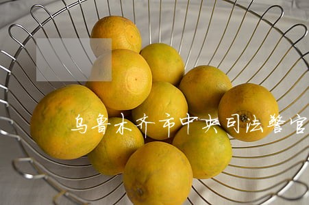 乌鲁木齐市中央司法警官学院 乌鲁木齐市中央司法警官学院