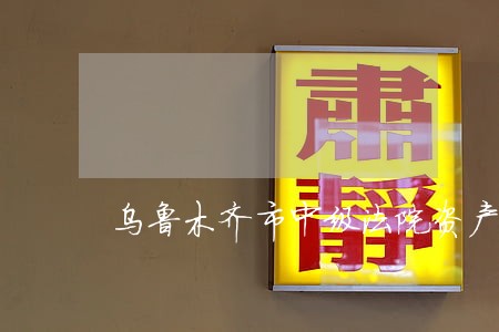 乌鲁木齐市中级法院资产诉讼网 乌鲁木齐市中级法院资产诉讼网