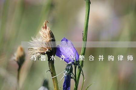 乌鲁木齐市整合并购律师热线