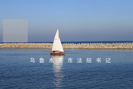 乌鲁木齐市法院书记