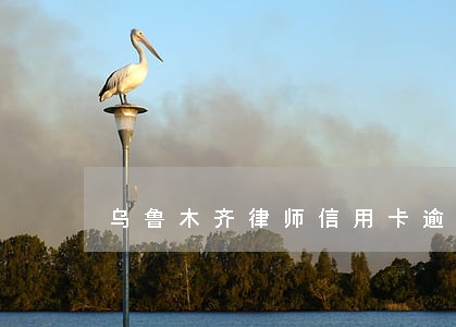 乌鲁木齐律师信用卡逾期 乌鲁木齐律师信用卡逾期
