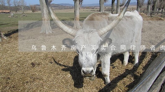 乌鲁木齐房产买卖合同律师咨询 乌鲁木齐房产买卖合同律师咨询