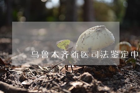 乌鲁木齐新医司法鉴定中心