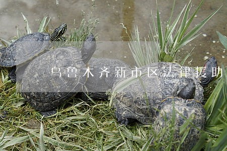 乌鲁木齐新市区法律援助中心电话 乌鲁木齐新市区法律援助中心电话