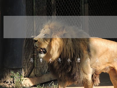 乌鲁木齐水磨沟区法院公拍网
