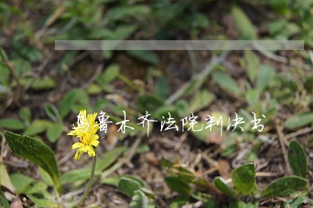 乌鲁木齐法院判决书