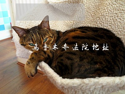 乌鲁木齐法院地址 乌鲁木齐法院地址