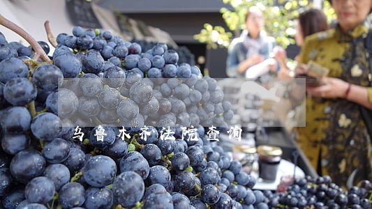 乌鲁木齐法院查询 乌鲁木齐法院查询