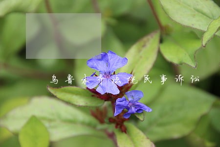乌鲁木齐法院民事诉讼 乌鲁木齐法院民事诉讼