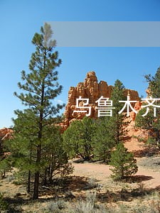 乌鲁木齐疫情期间信用卡逾期 乌鲁木齐疫情期间信用卡逾期