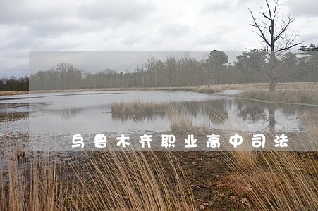 乌鲁木齐职业高中司法 乌鲁木齐职业高中司法