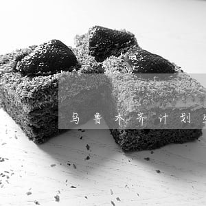 乌鲁木齐计划生育新政策法规