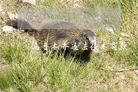 乌鲁木齐违法停车罚款 乌鲁木齐违法停车罚款