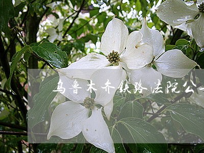 乌鲁木齐铁路法院公告 乌鲁木齐铁路法院公告