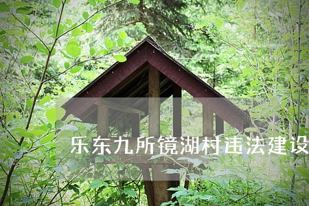 乐东九所镜湖村违法建设房