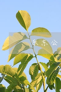 乐东公益诉讼 乐东公益诉讼
