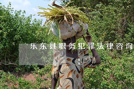 乐东县职务犯罪法律咨询热线 乐东县职务犯罪法律咨询热线