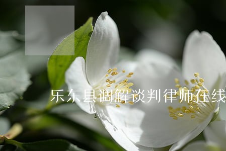 乐东县调解谈判律师在线免费咨询 乐东县调解谈判律师在线免费咨询