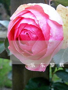 乐东黎族考试培训课程 乐东黎族考试培训课程