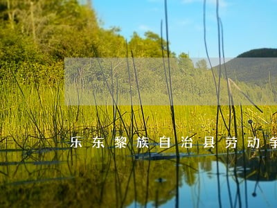 乐东黎族自治县劳动争议仲裁律师 乐东黎族自治县劳动争议仲裁律师